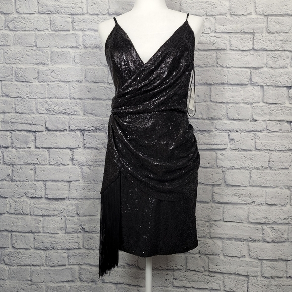 Dress the Population Alida Fringe Dress Size M. New. - Picture 3 of 10